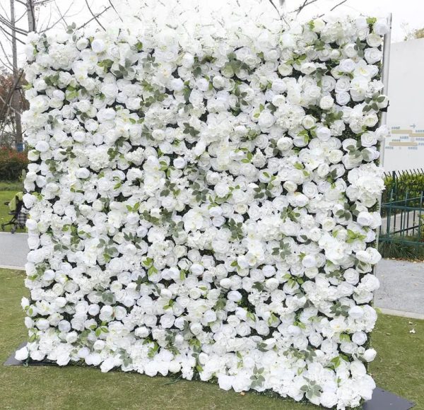 White Rose Flower Wall